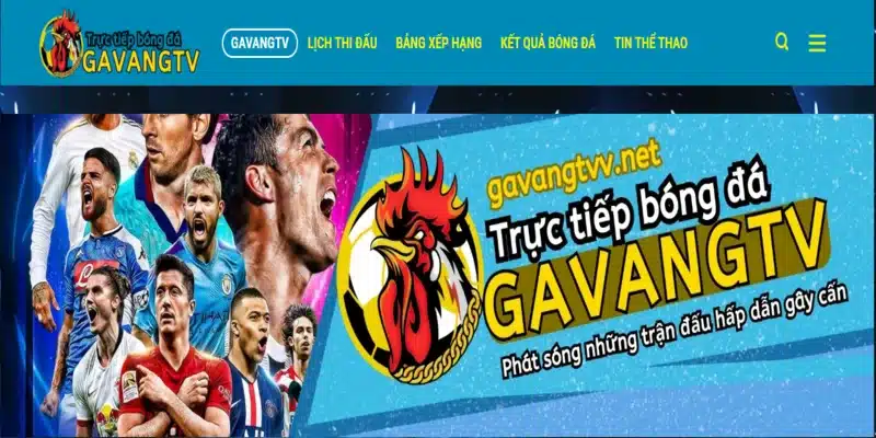 Hướng dẫn xem bóng đá từ A-Z